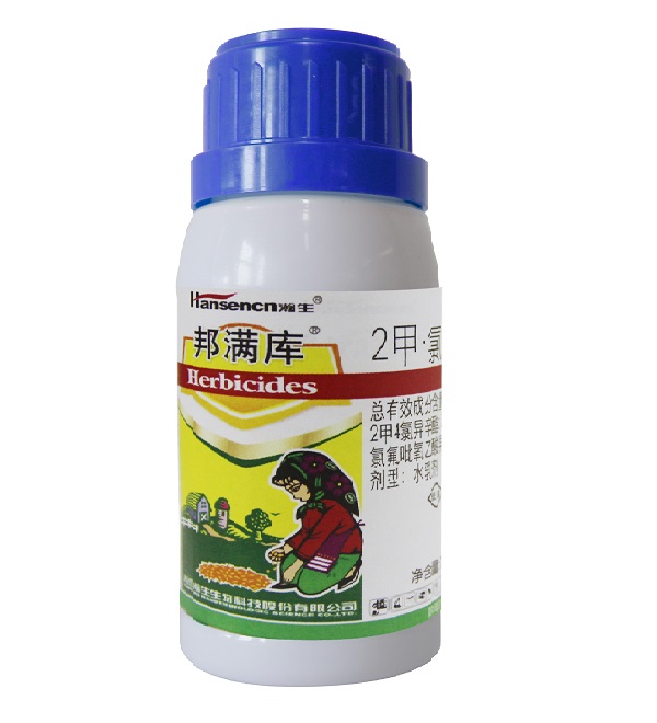 邦满库