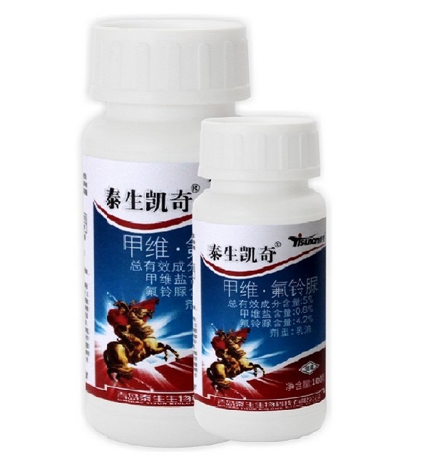 泰生凯奇