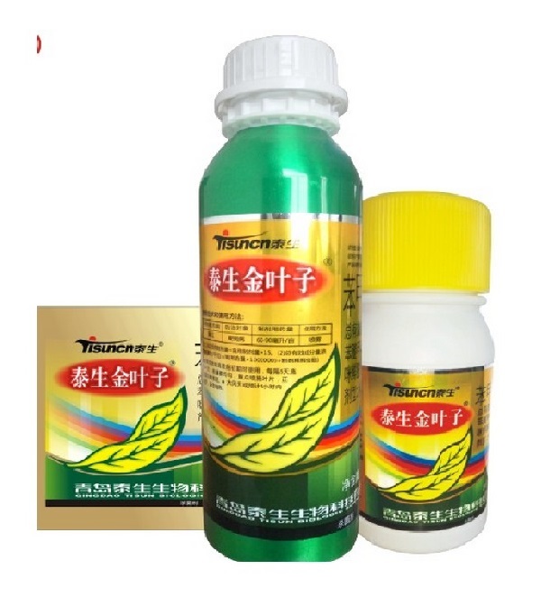 泰生金叶子