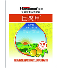巨聚甲