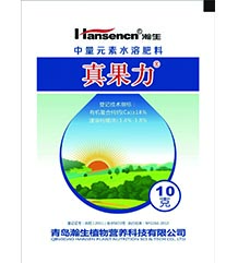 真果力