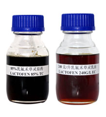 LACTOFEN